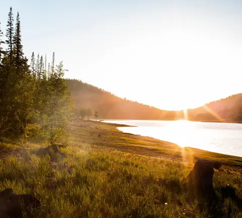 forest-lake-sun